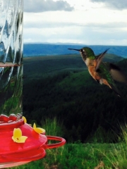 11232118_10153405278229393_4258810396557288900_n