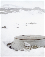 Bird's Wing and Manhole