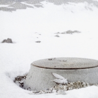 Bird's Wing and Manhole