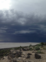 11251120_10153375962899393_3448680175716123904_n