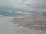 11351306_10153375962659393_4161793971719279640_n