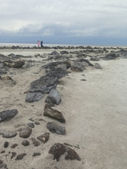 11377385_10153375962734393_8295559014774305506_n (1)