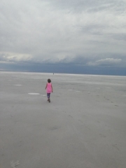 11393177_10153375962624393_3351942082872244018_n