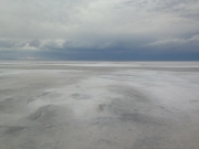 11401574_10153375962669393_478099985179431331_n