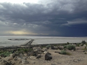 11407010_10153375962854393_2574065844031351301_n