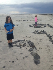 1907482_10153375962849393_8858849773796081873_n