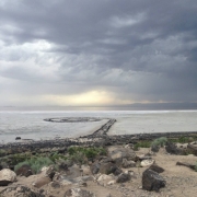 22402_10153375962999393_1424579019414705140_n