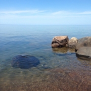 11236424_10153509415659393_4128057140939555720_n