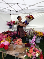 11988693_10153614921679393_133726760627551740_n